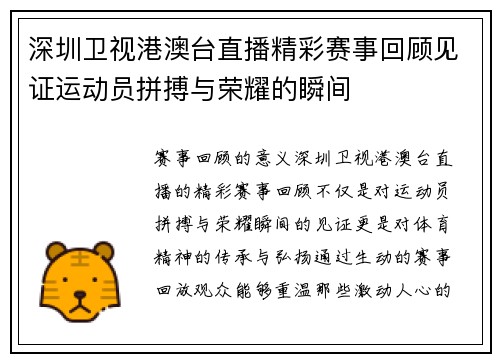 深圳卫视港澳台直播精彩赛事回顾见证运动员拼搏与荣耀的瞬间